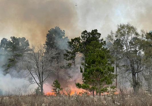 Hawkeye Firefly Split Camera with Herelink Support Enhances Firefighting Efforts in Canadian Hills